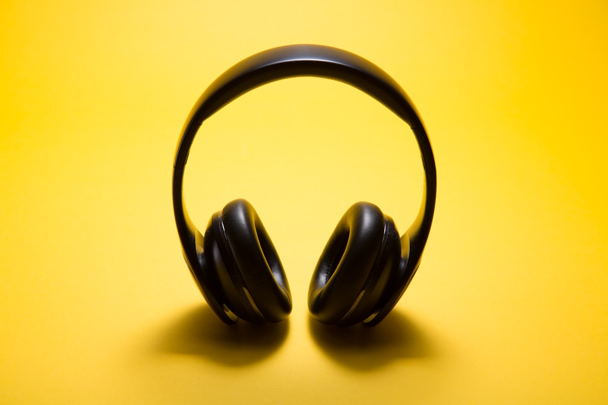 Diferentes tipos de tapones auditivos